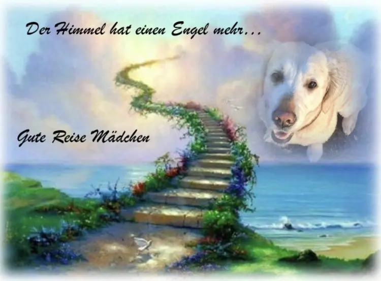 Image from Kira