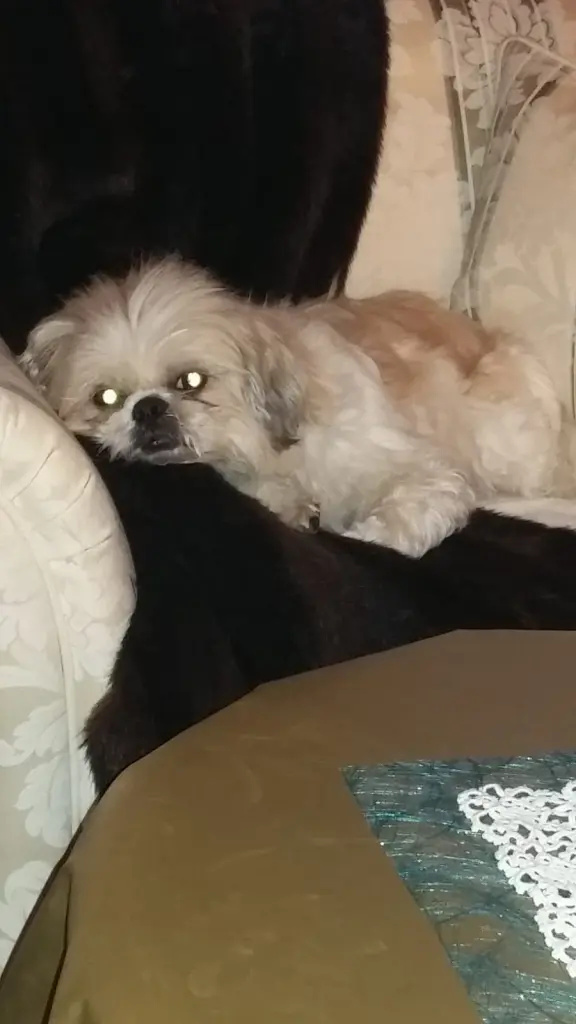 Image from Maeggy 
