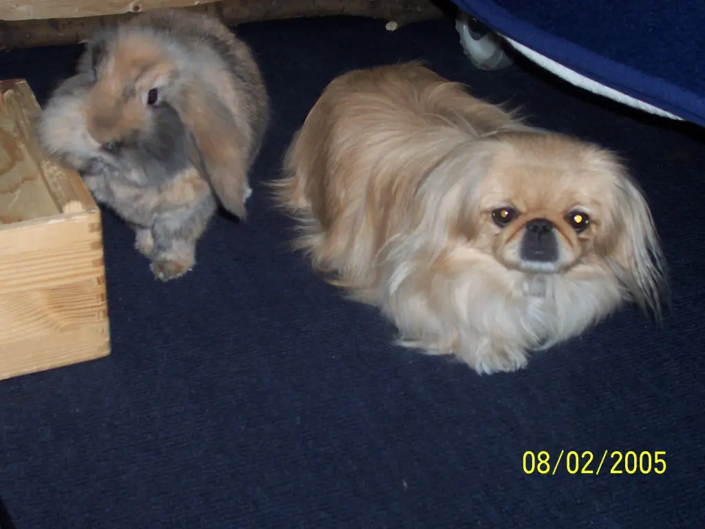 Condolence image of HEIDI 