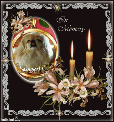 Image from Ich vermisse meine geliebte Sina