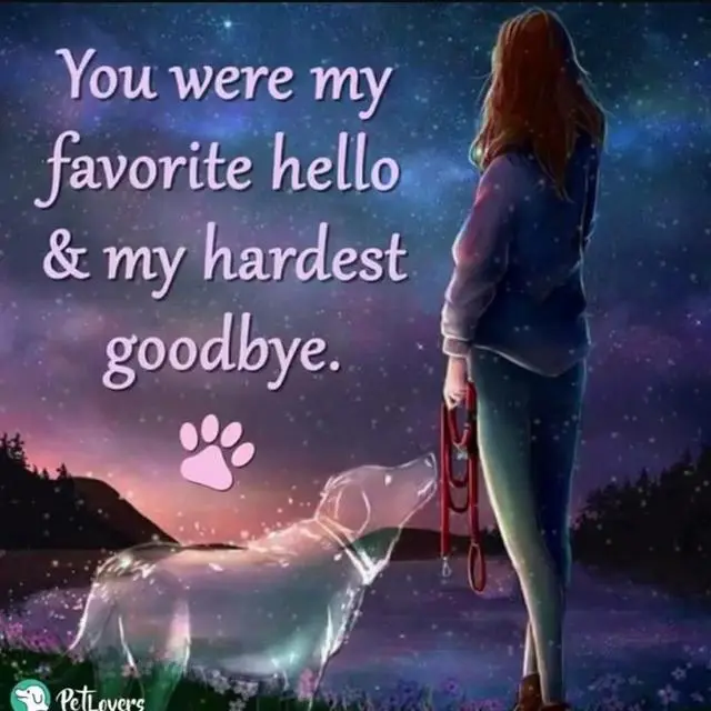 Andachtsbild von Sascha/Elke mit Shila im Herzen