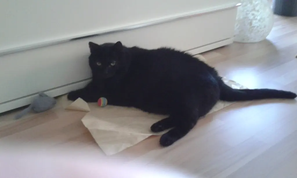 Andachtsbild von Unbekannt