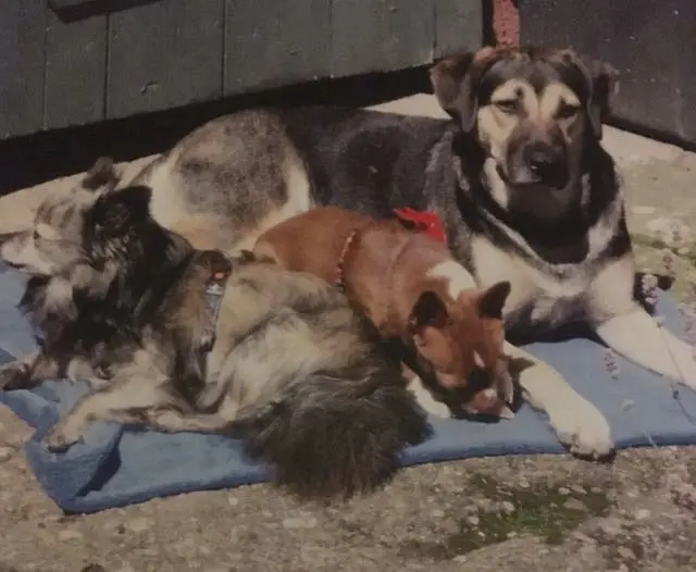 Condolence image of Dani und Paula