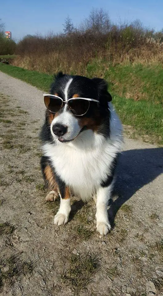 Image from Mikka Prinz von Plüsch