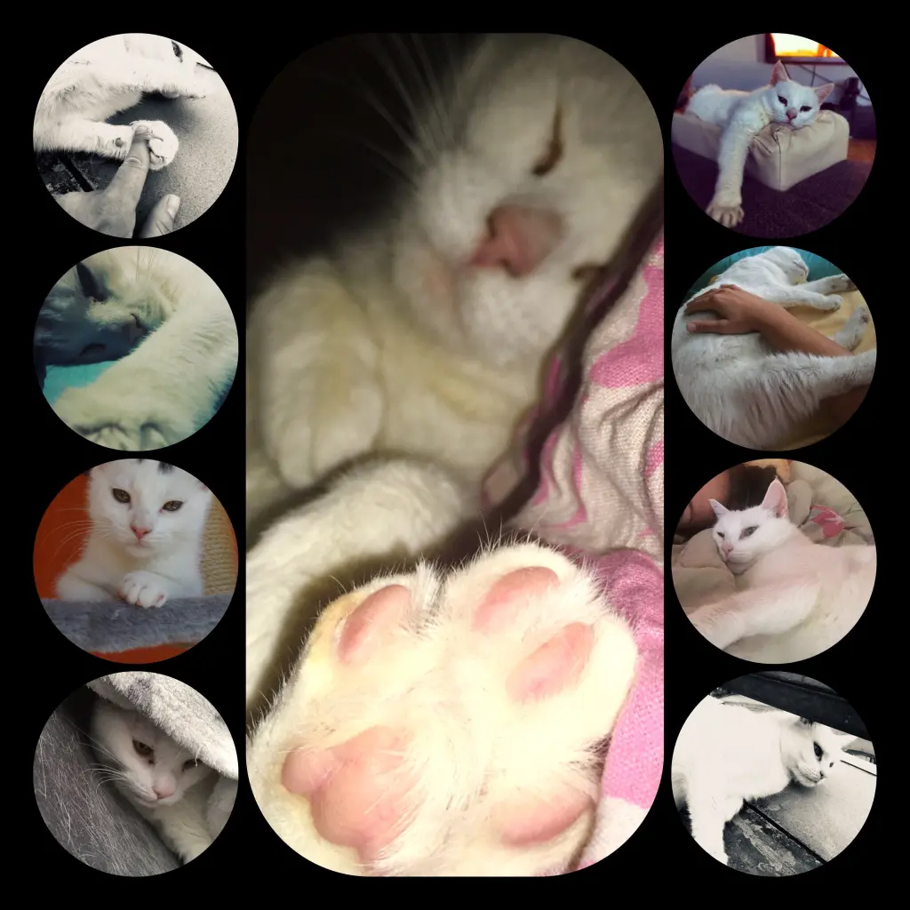 Image from Emma