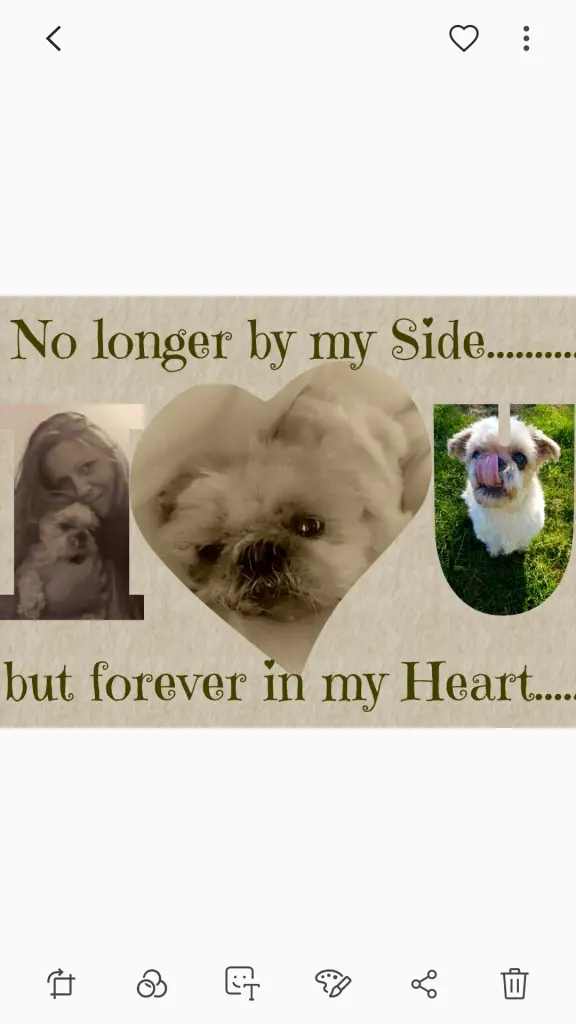 Image from Gismo