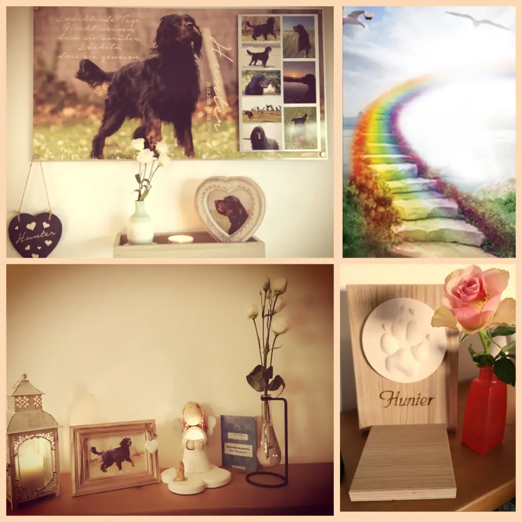 Image from Hunter
