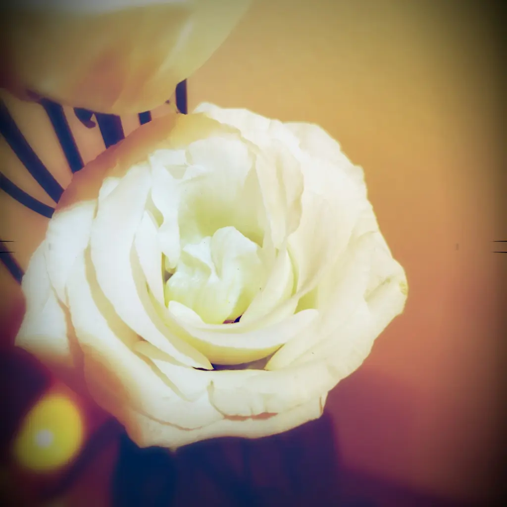 Image from Hunter