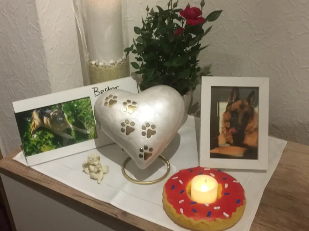 Condolence image of Jacqueline