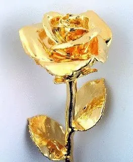 Condolence image of Jacqueline