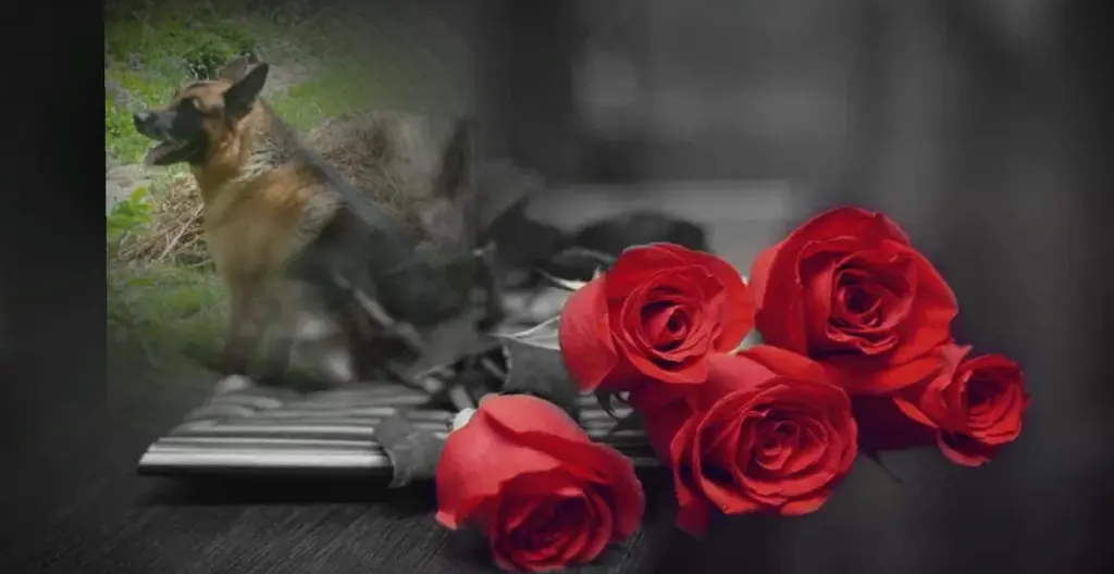 Condolence image of Jacqueline 