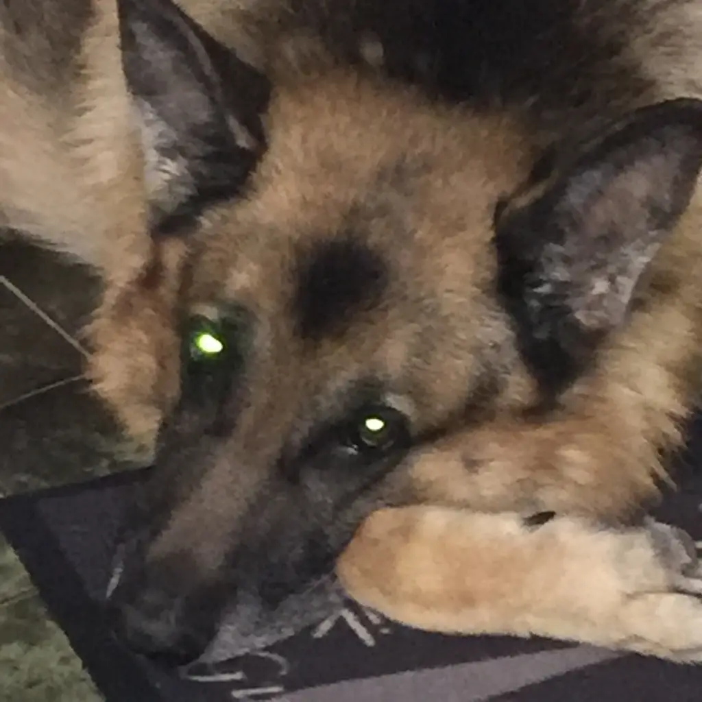 Condolence image of Jacqueline 