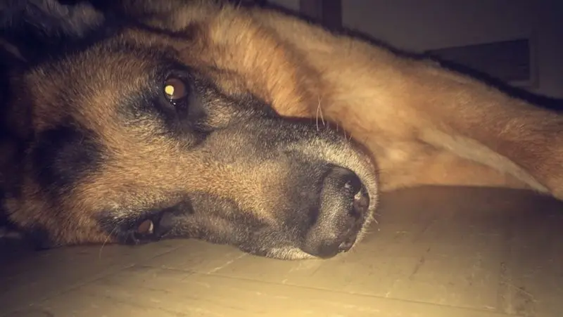 Condolence image of Sabrina 