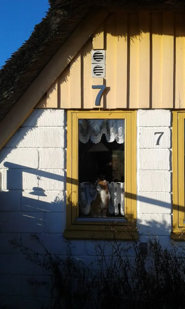 Image from Ernie