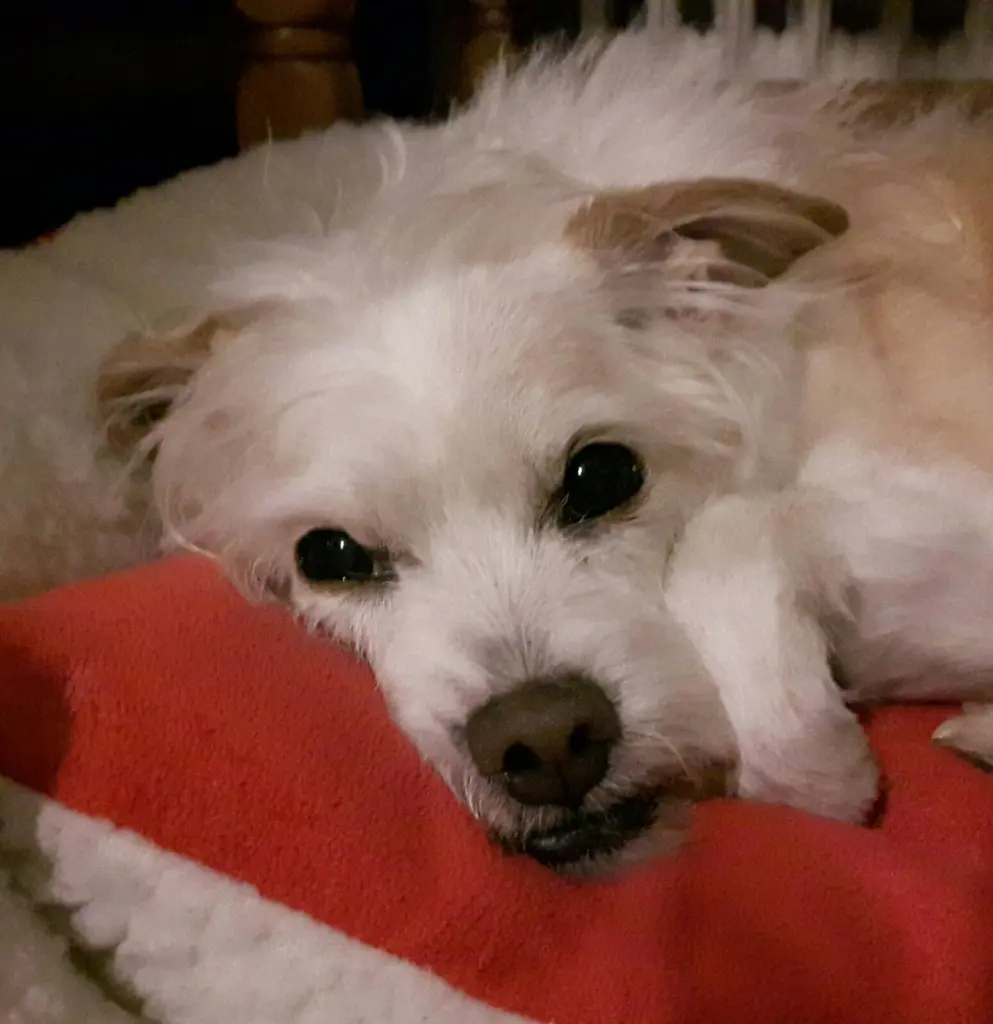 Condolence image of Karoline