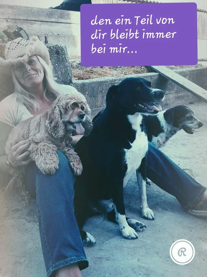 Image from Sox