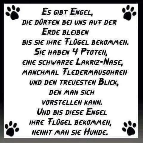 Image from Sox