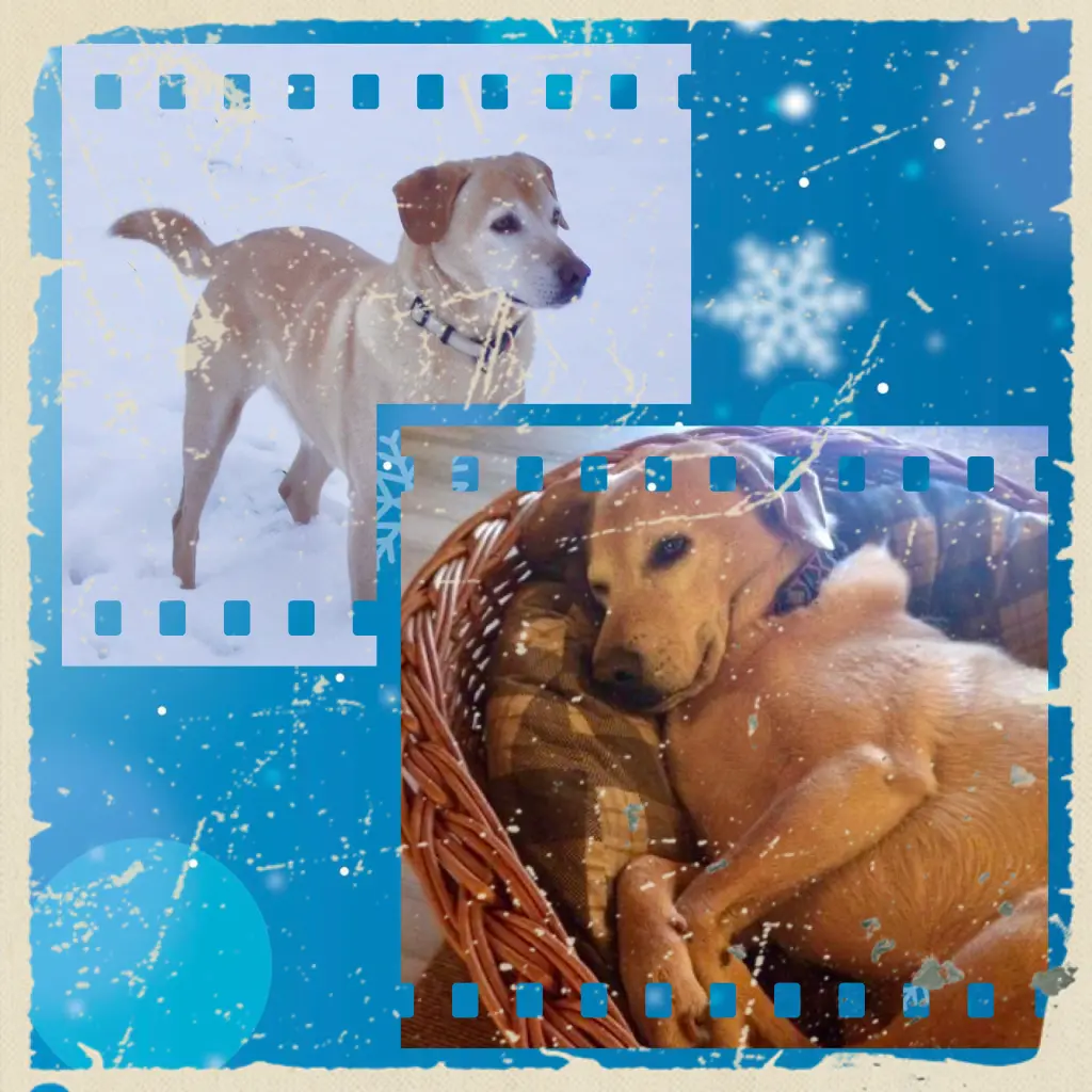 Condolence image of Maren
