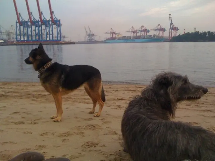 Image from Naima