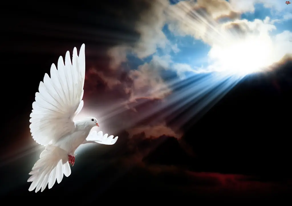 Condolence image of Elisabeth 