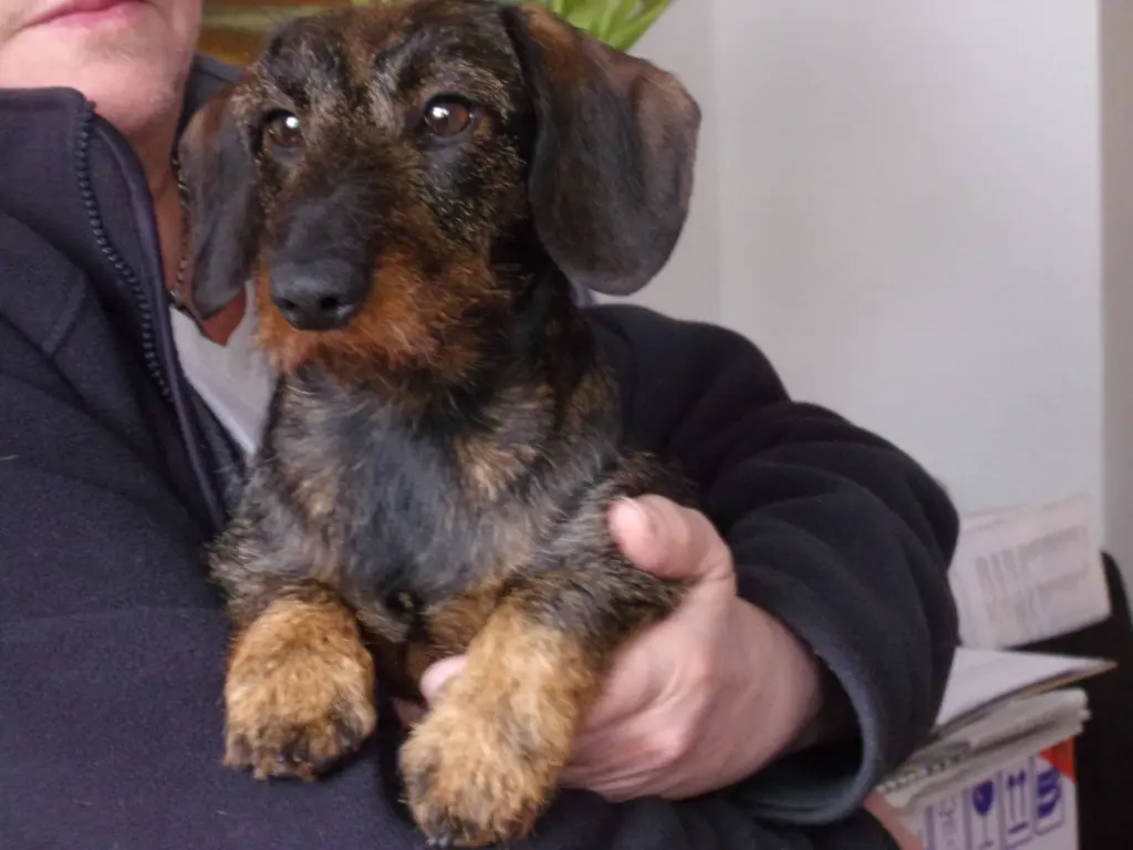 Condolence image of Sabine