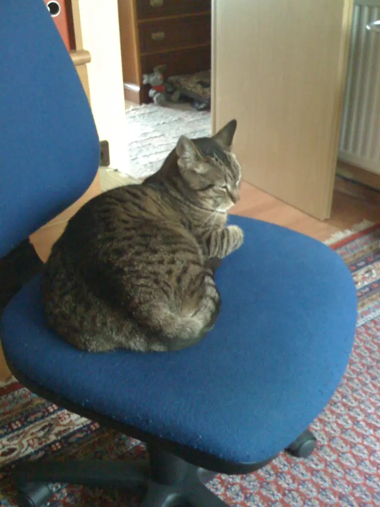 Image from Mitzi