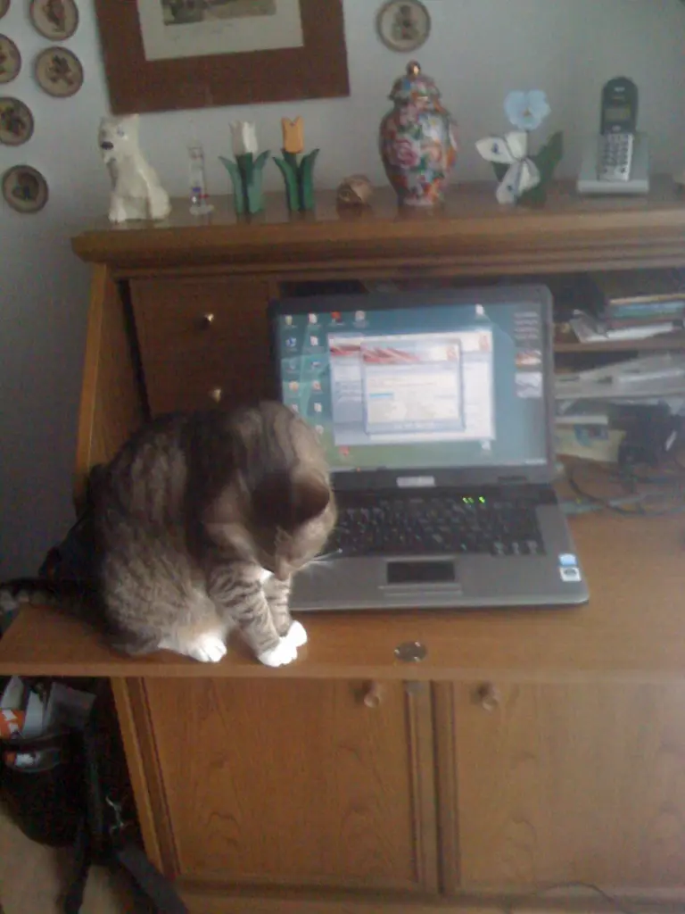 Image from Mitzi