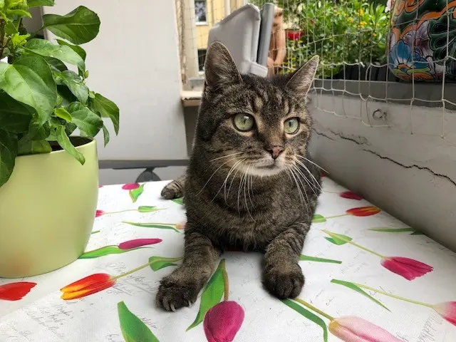 Image from Meggie