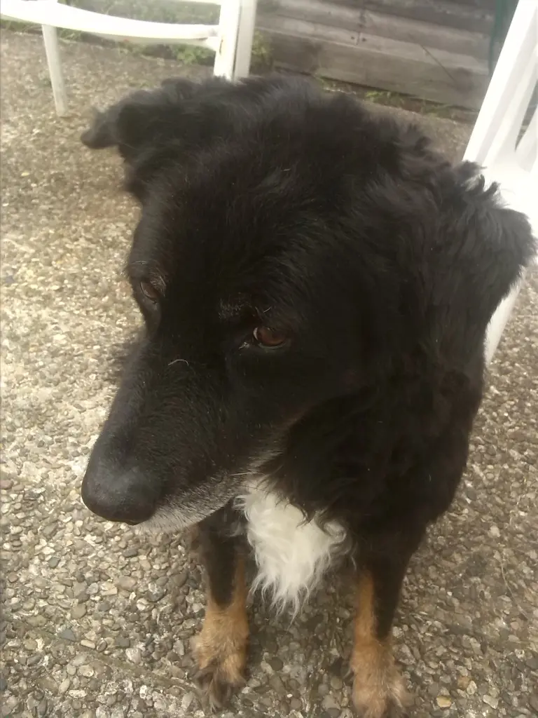 Image from Teddy
