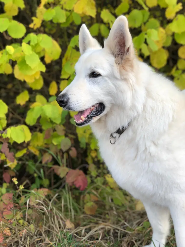 Bild von Cisco