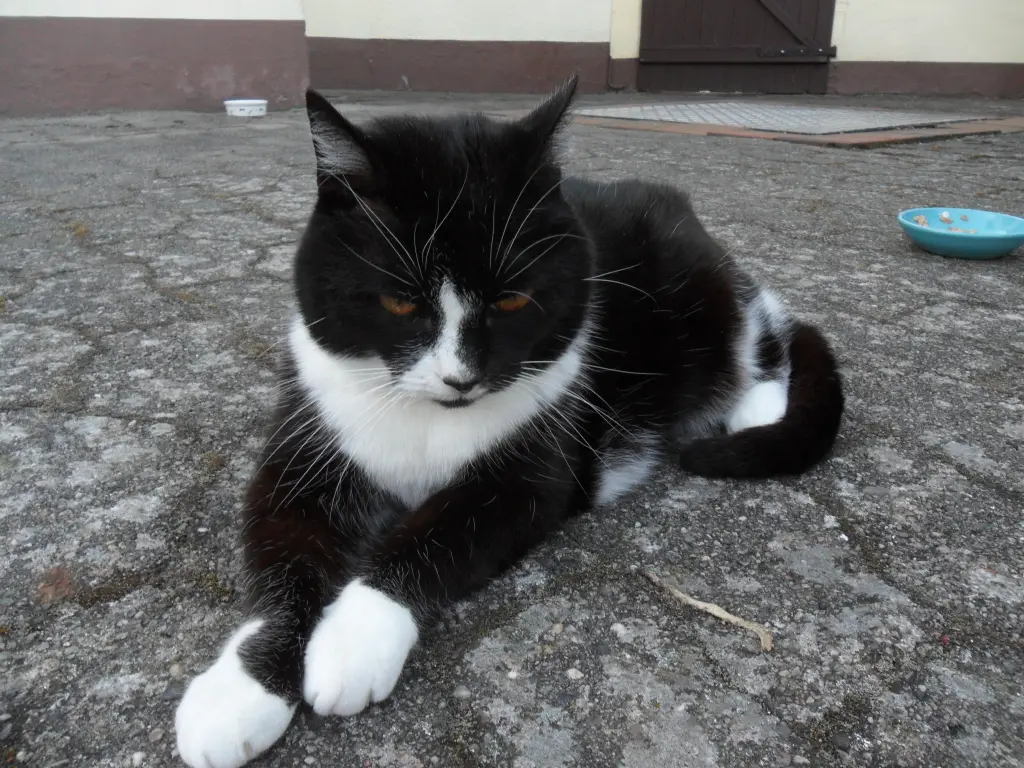 Andachtsbild von Melanie