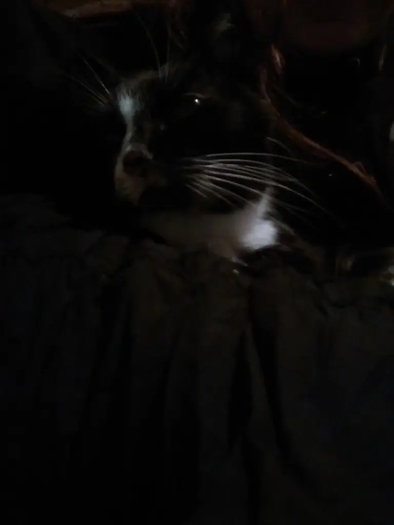 Andachtsbild von Melanie