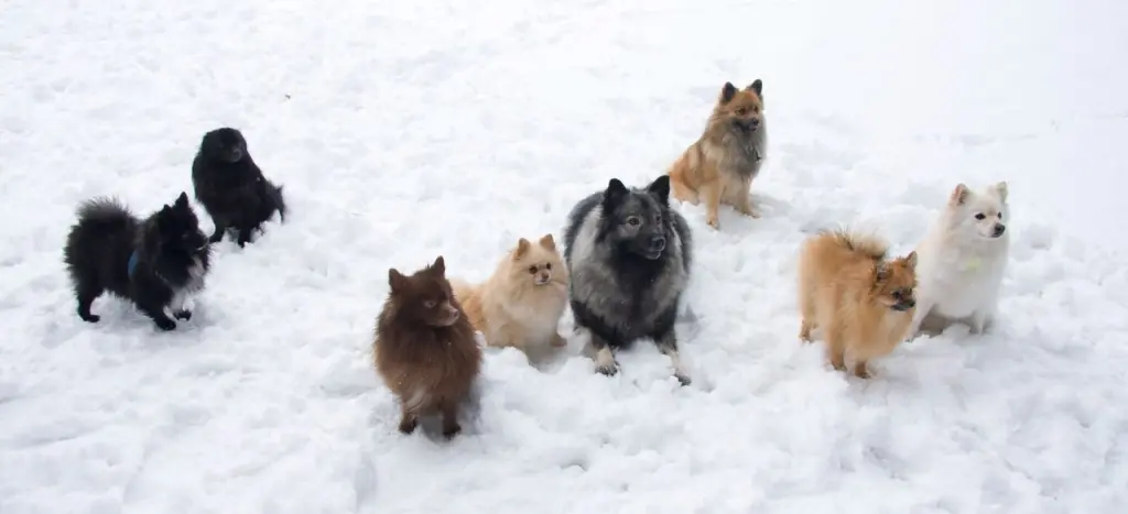 Condolence image of Chris, Jacky, Ronja Malou Lilly und Tala