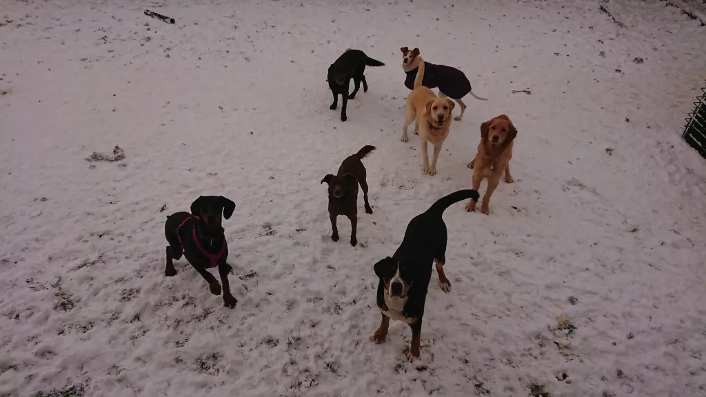 Condolence image of Yvonne Schürmann