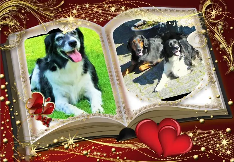 Andachtsbild von Brigitte mit Nelly, Benny und Axel im Herzen