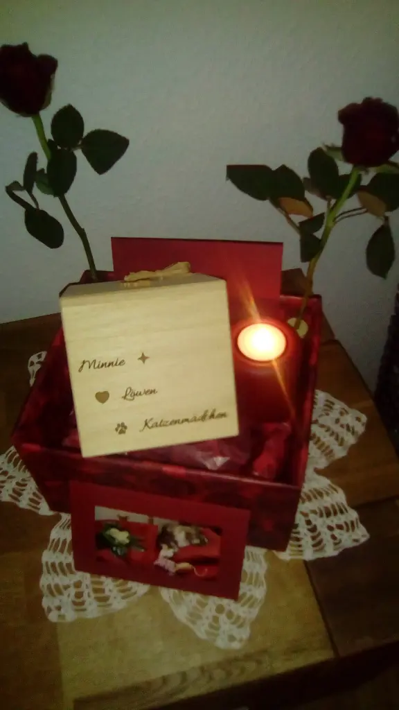 Image from Minnie Löwenkatzenmädchen