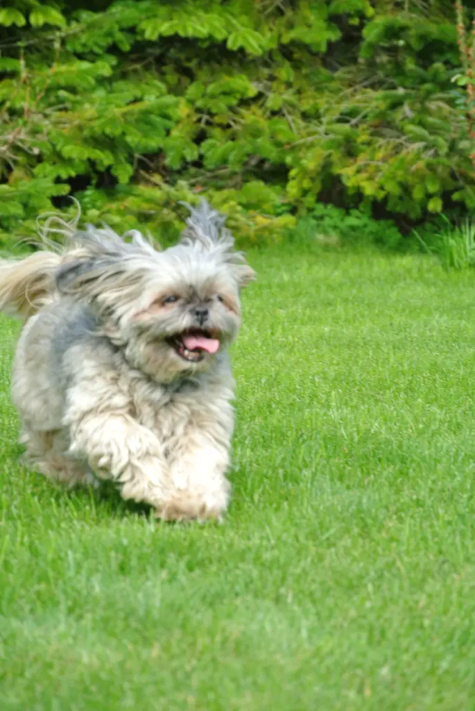 Andachtsbild von Kathrin mit Susi im Herzen