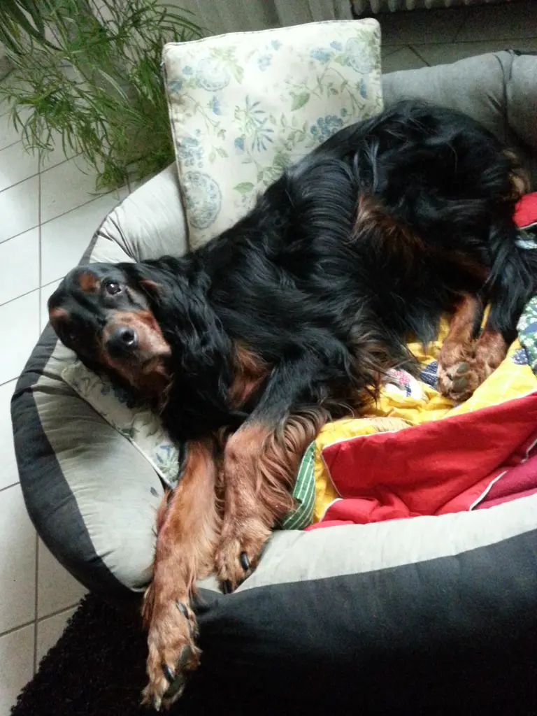 Andachtsbild von Monika mit Ole im Herzen