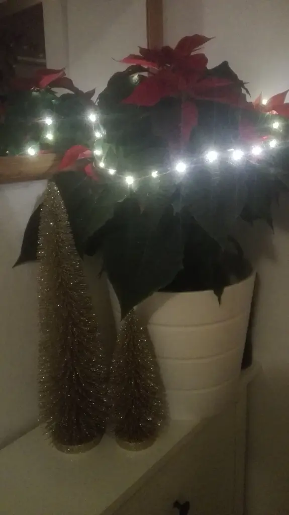 Andachtsbild von Victoria