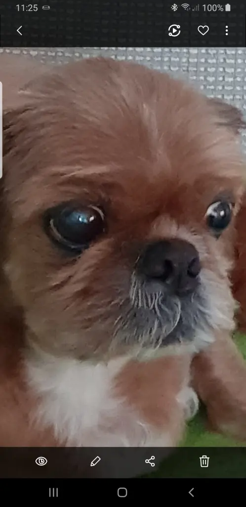 Condolence image of Diana 