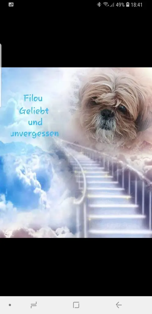 Condolence image of Diana 