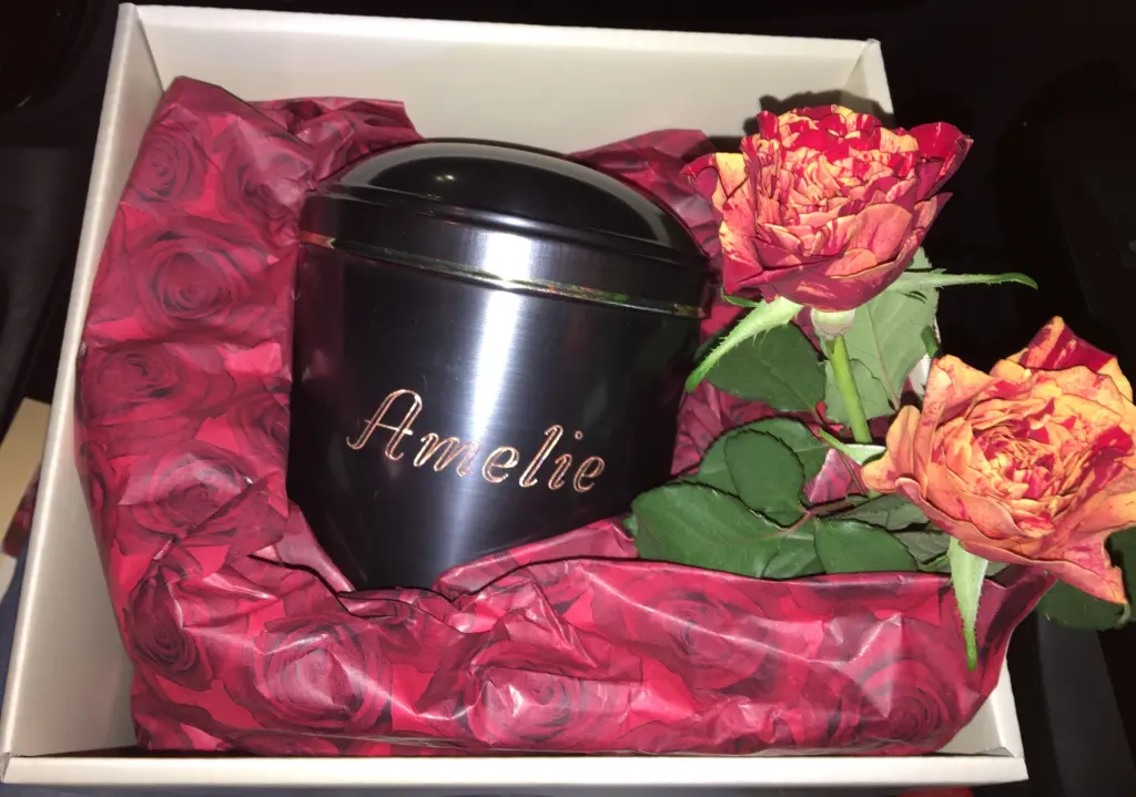 Image from Amelie