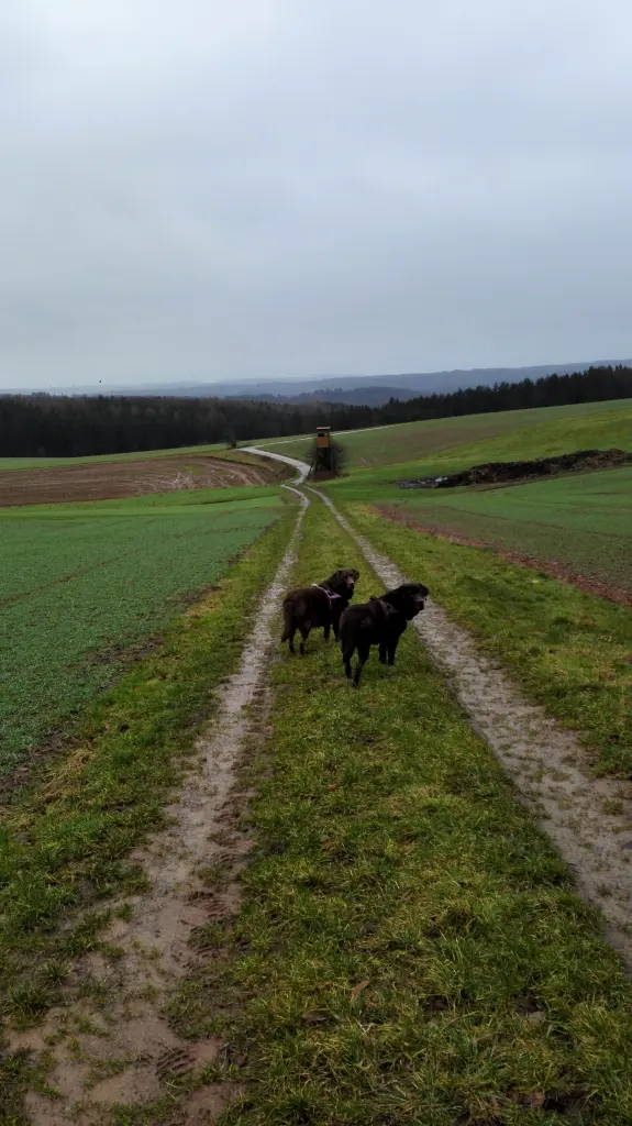 Andachtsbild von Ina