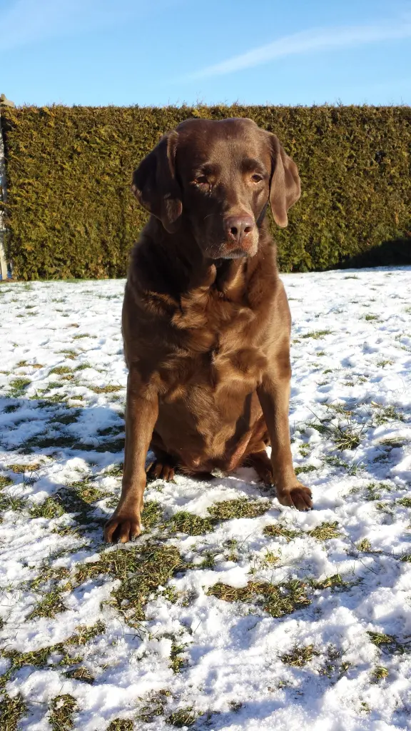 Bild von Enya