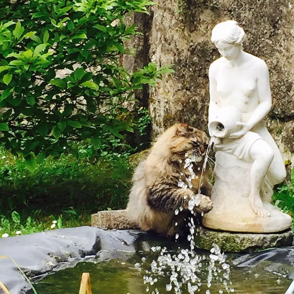 Image from Lilly (cleopatra)