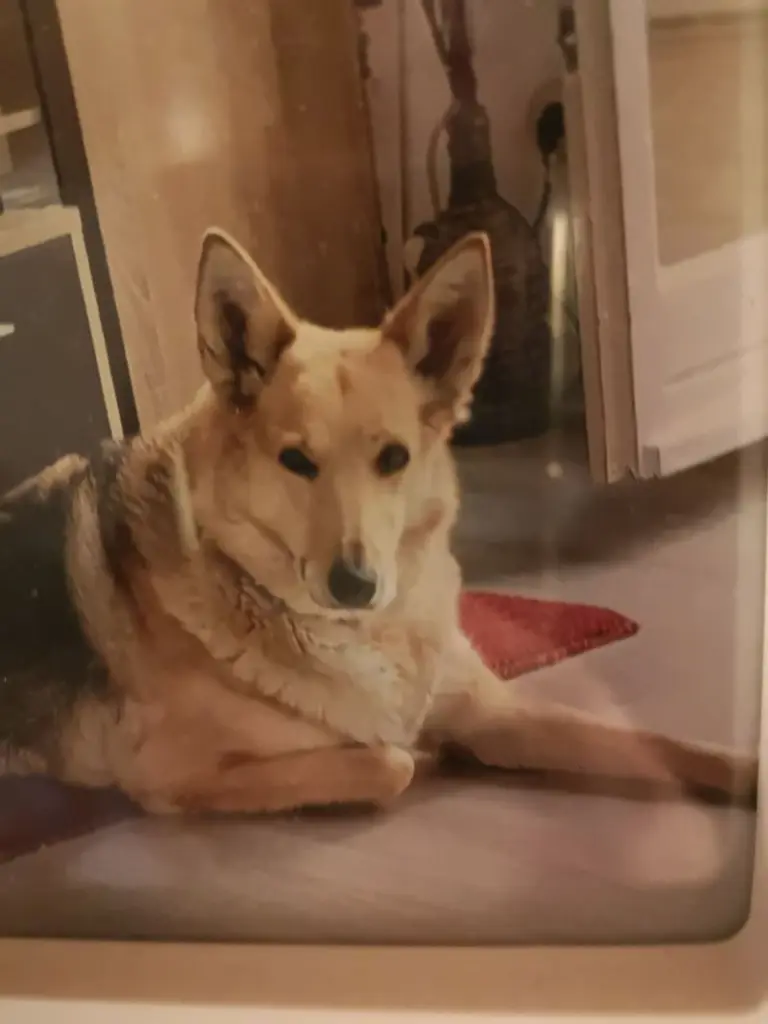 Condolence image of Alena