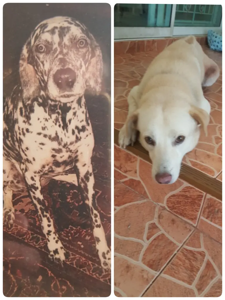 Condolence image of Wolfgang