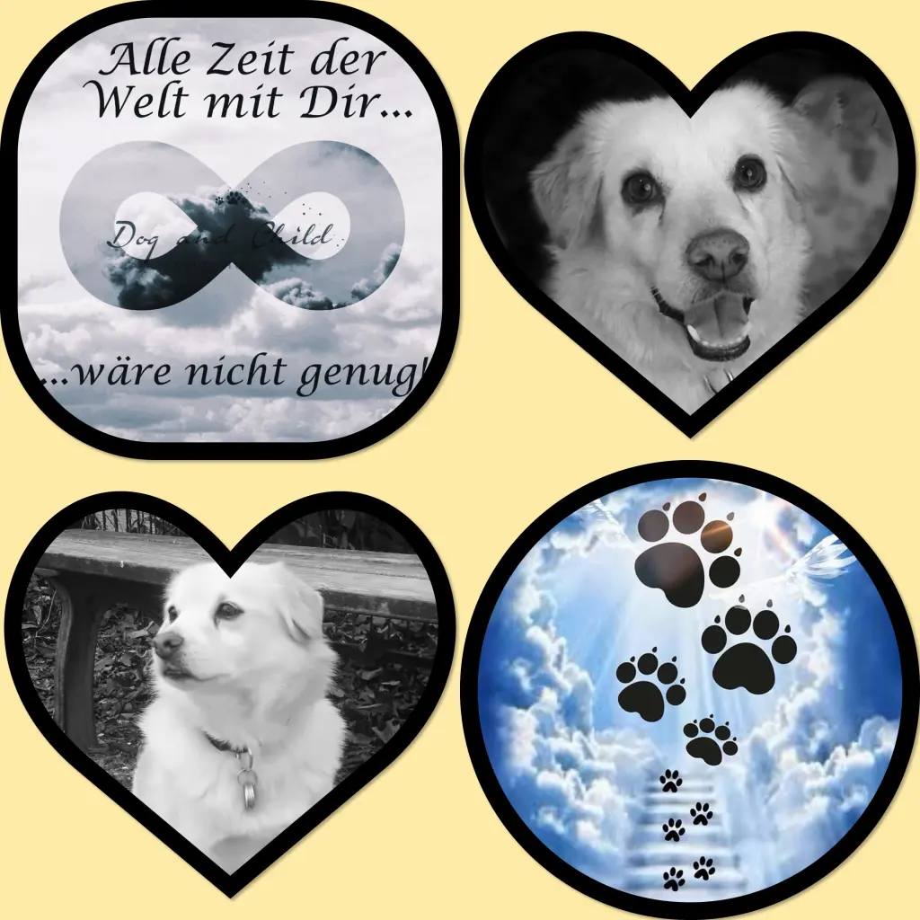 Condolence image of Leonie Wilhelmi