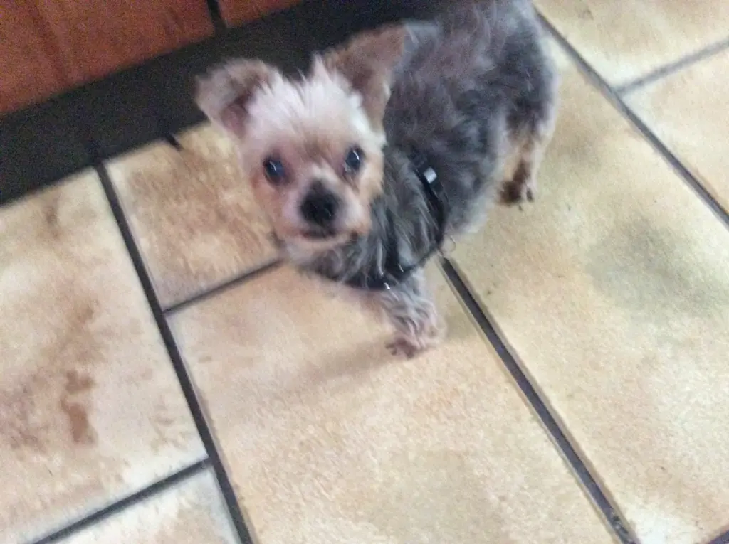 Condolence image of Heidi 