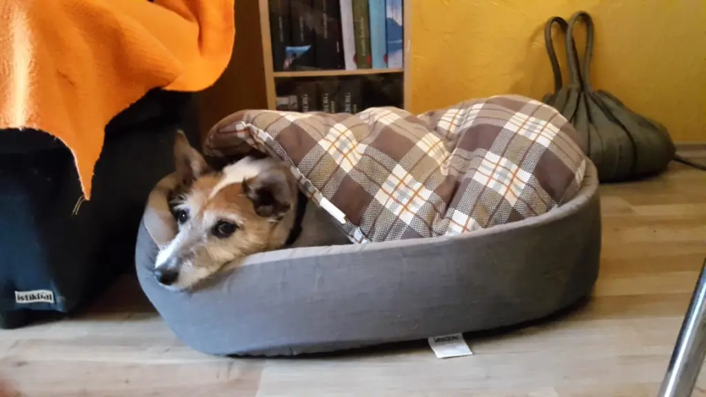 Andachtsbild von Nicole und Patrick mit Théo im Herzen